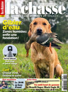 Campagne 15/08/2025